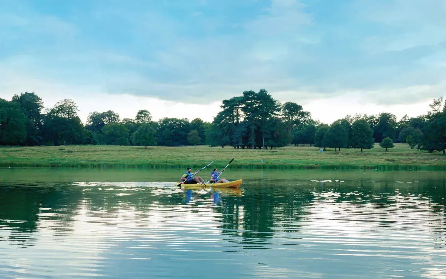 الحياة في ماونتن فيو اليفا.